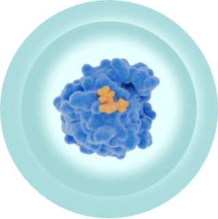 Anti Infective
