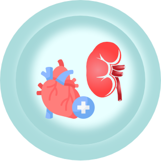 Cardiology And