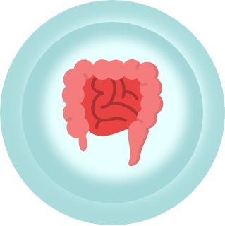 Gastroenterology
